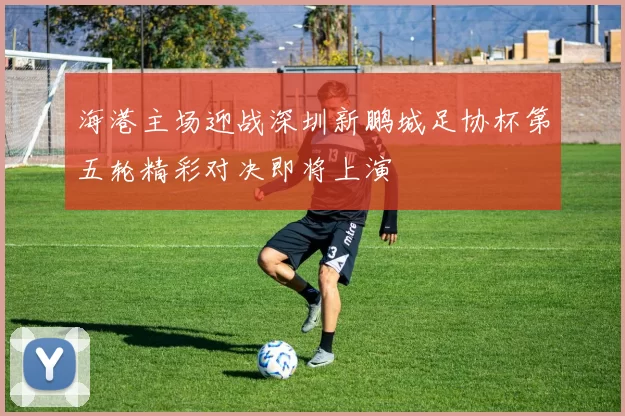 海港主场迎战深圳新鹏城足协杯第五轮精彩对决即将上演